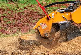 Best Arborist Consultation Services  in Paden City, WV
